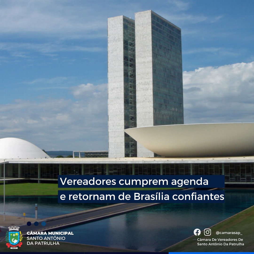 Vereadores cumprem agenda e retornam de Brasília confiantes