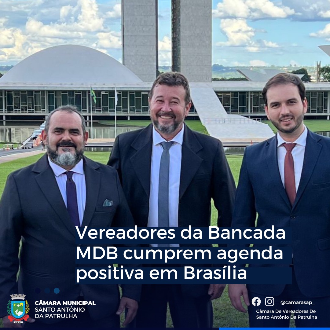 Vereadores da Bancada MDB cumprem agenda positiva em Brasília